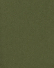 Toddler Boy Pull-On Pants - Olive Green