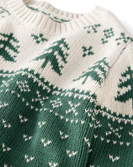 Baby Organic Cotton Fair Isle Sweater Knit Pullover