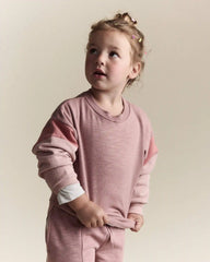 Toddler Girl Colorblock Dolman-Sleeve Sweatshirt - Mauve