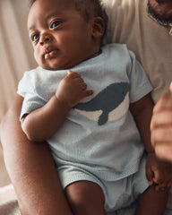 Baby 2-Piece Whale Short-Sleeve Sweater Top & Short Set - Blue