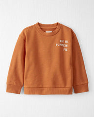 Toddler Organic Cotton Pumpkin Pie Pullover