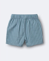 Toddler Boy Playground Shorts in Stripes - Blue