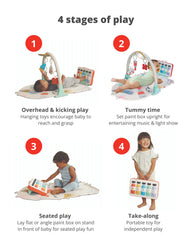 Painted Dreams 4-in-1 Developmental Baby Play Gym