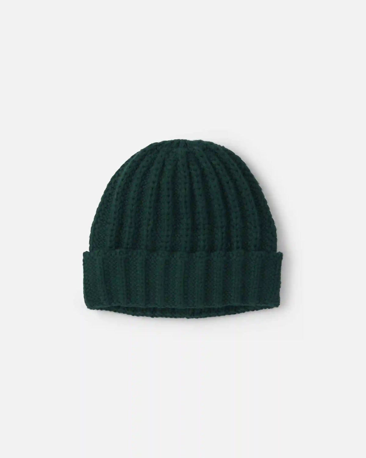 Toddler Boy Ribbed Beanie - Green