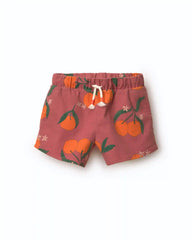 Toddler Girl A-Line Shorts in Clementine Grove Print - Rose