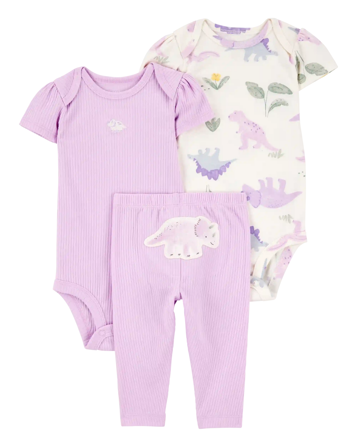 Baby Girl 3-Piece Dinosaur Little Character Set - Purple