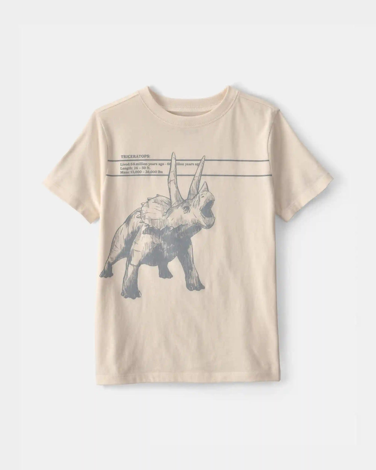 Boys Triceratops Dinosaur Graphic Tee - Cream