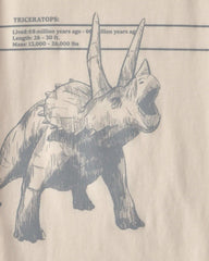 Boys Triceratops Dinosaur Graphic Tee - Cream