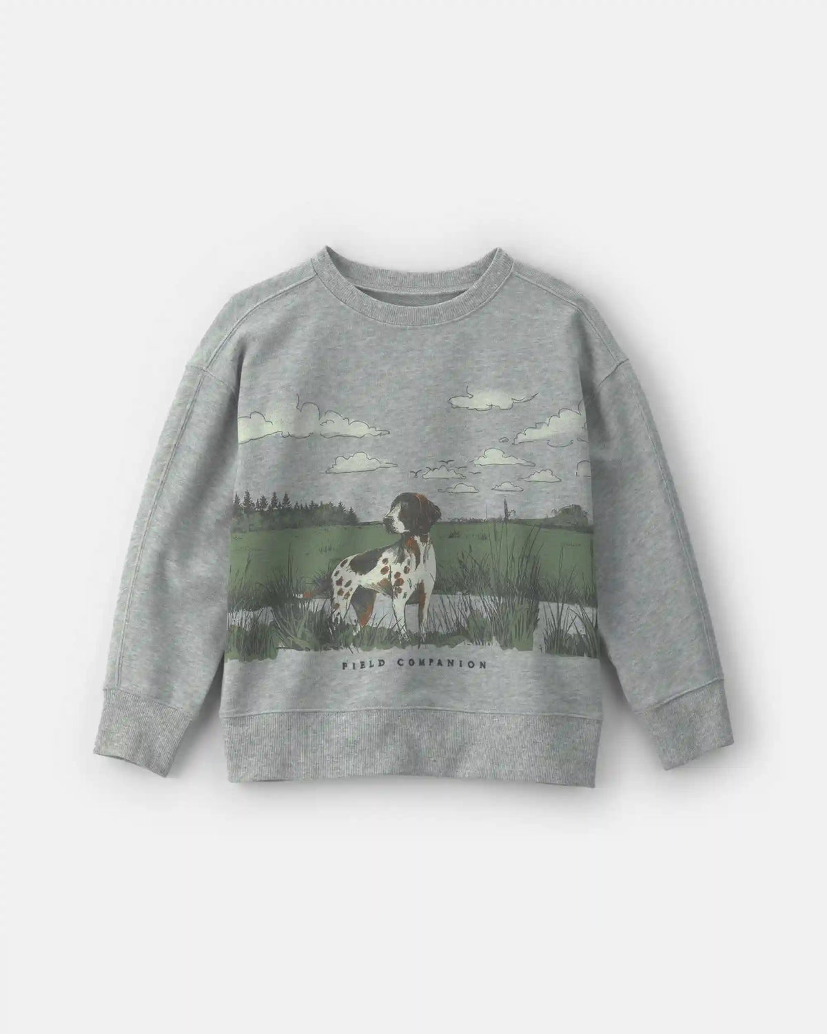 Boys 'Field Companion' Dog French Terry Pullover Sweatshirt - Grey