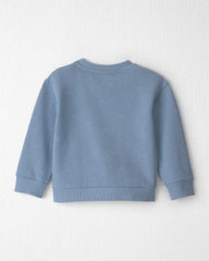 Toddler Boy  Organic Cotton Big Bro Pullover