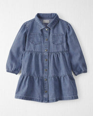 Toddler Girl Organic Cotton Denim Dress