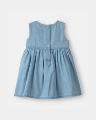 Baby Girl Floral Embroidered Chambray Dress