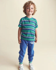 Toddler Boy Striped Henley T-Shirt - Green/Blue